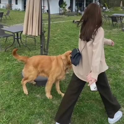 森林